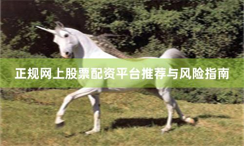 正规网上股票配资平台推荐与风险指南